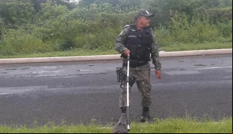Polícia Ambiental realiza resgate de animais silvestres em Teresina.