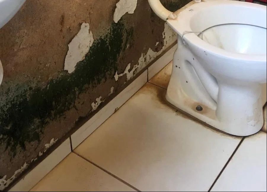 Estrutura da Escola Municipal Clarindo de Brito Veras