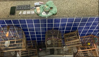 Polícia Militar apreende grande quantidade de drogas e animais silvestres