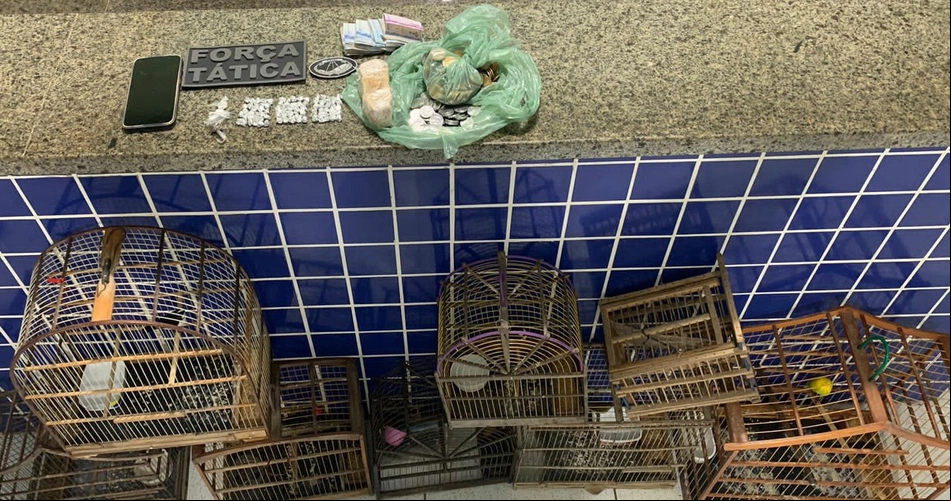 Polícia Militar apreende grande quantidade de drogas e animais silvestres