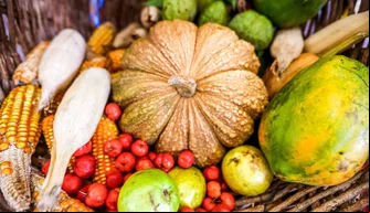 Agricultura Familiar: programa beneficia mais de 32 mil famílias do Piauí
